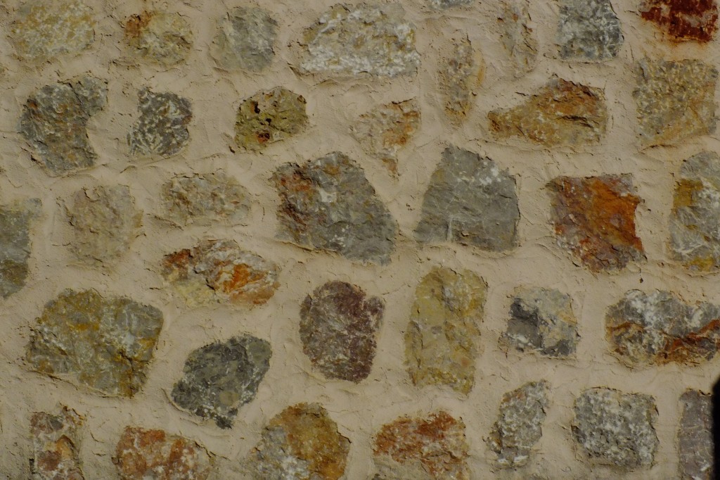 DSCF3169.jpg