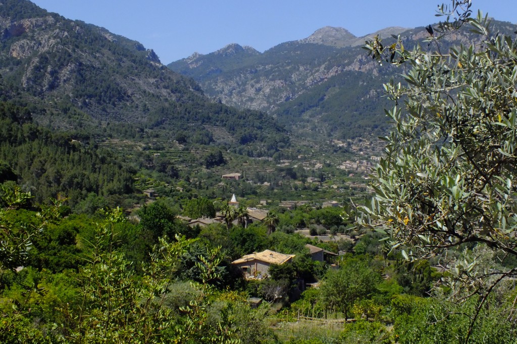 DSCF3231.jpg