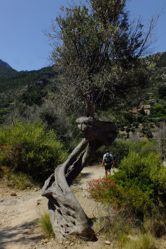 DSCF3259.jpg