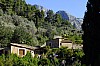 DSCF3174.jpg