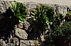 DSCF3220.jpg
