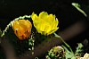 DSCF3234.jpg