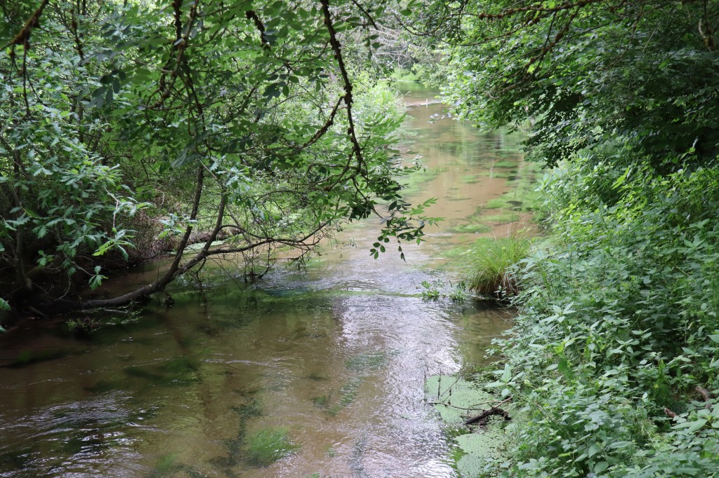 IMG_5489.jpg