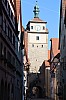 IMG_5015.jpg