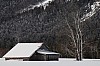 IMG_5098.jpg