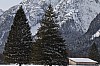 IMG_5099.jpg