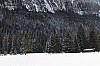 IMG_5101.jpg